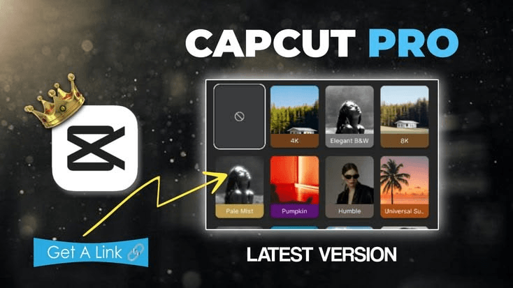 How Do You Cancel a CapCut Pro Subscription? 4 How Do You Cancel a CapCut Pro Subscription?